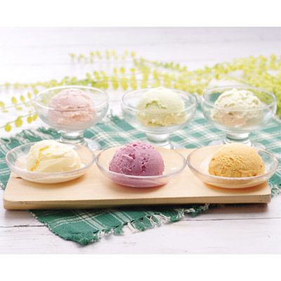 乳蔵 北海道アイスクリーム6種6個1