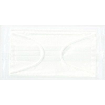テルコ/花柄抗菌マスクケース(個包装マスク1枚入)1